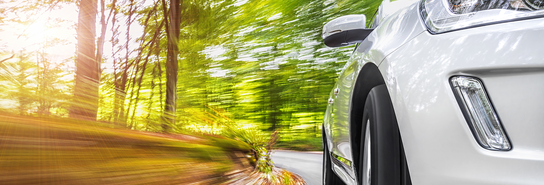What Is Car Warranty Cover Auto Pedigree