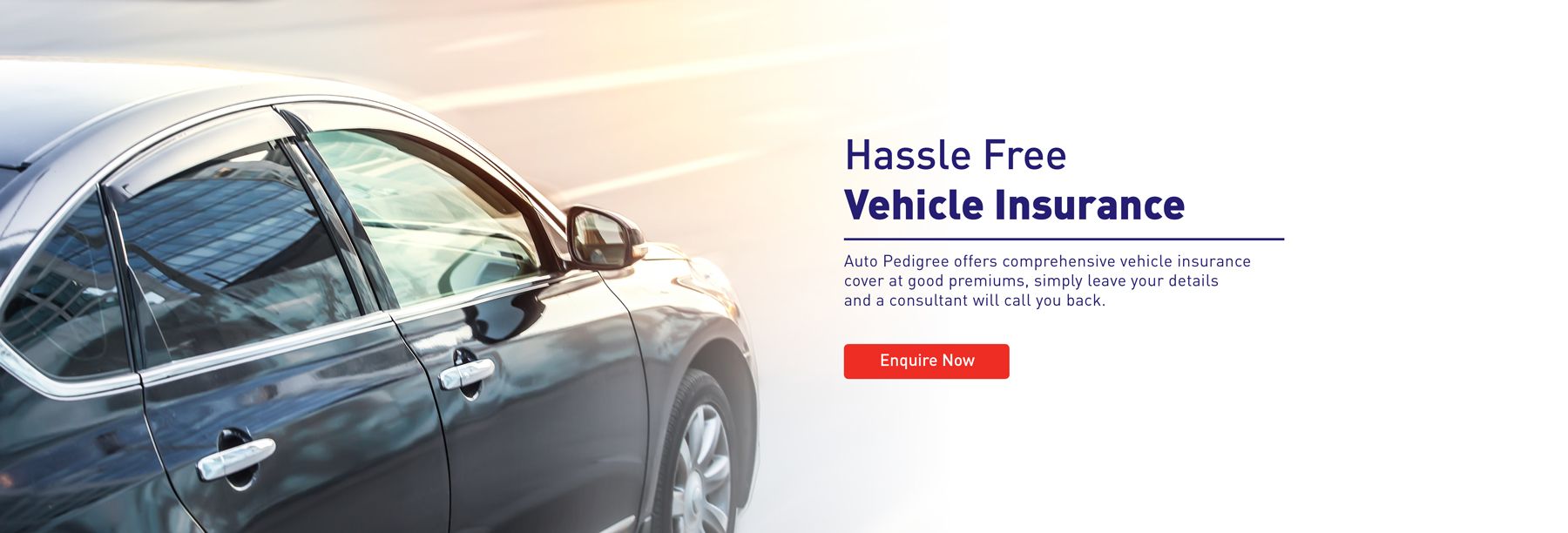Auto Pedigree Insurance