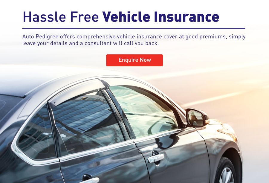 Auto Pedigree Insurance