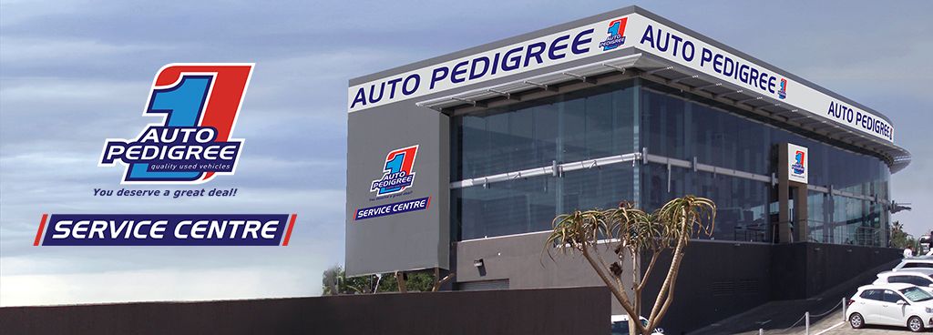 Auto Pedigree Polokwane Service Centre exterior