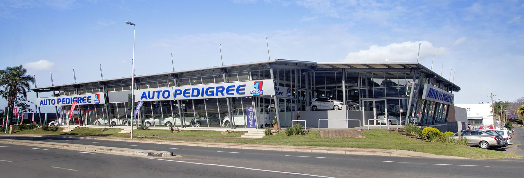 Auto Pedigree Pinetown service centre