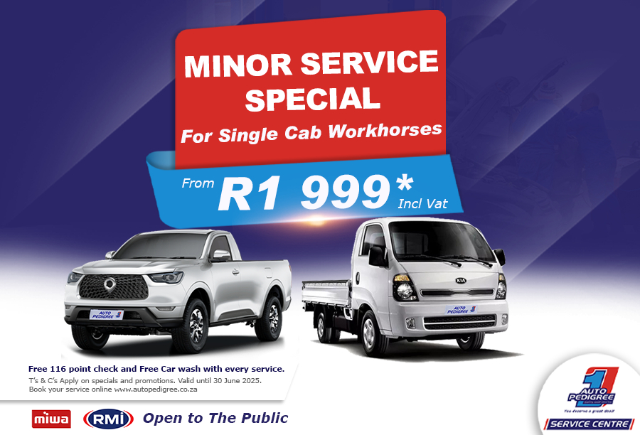 MINOR SERVICE SPECIAL