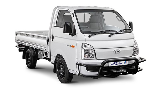 Single Cab - Dropside