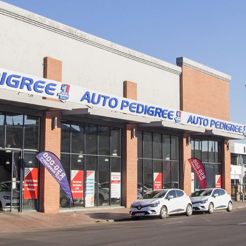 Auto Pedigree Polokwane North