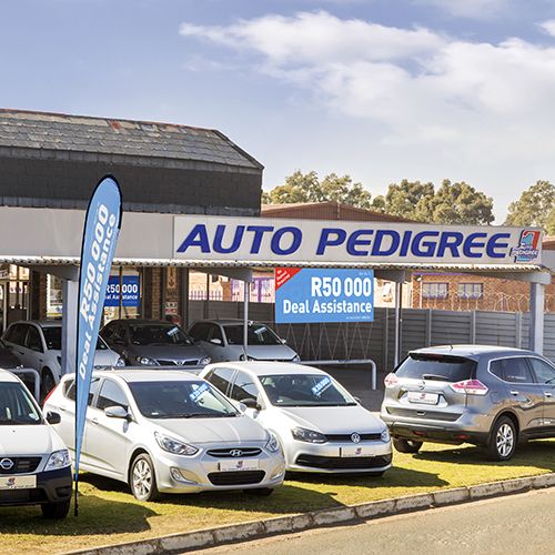 Auto Pedigree Alberton