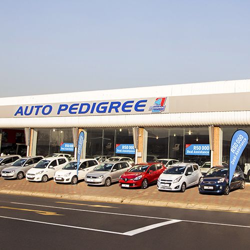 Auto Pedigree Benoni