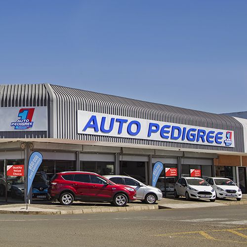 Auto Pedigree Harrismith