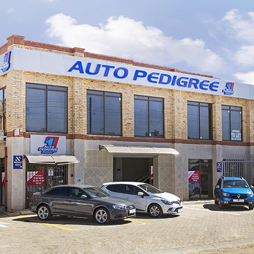 Auto Pedigree Mafikeng