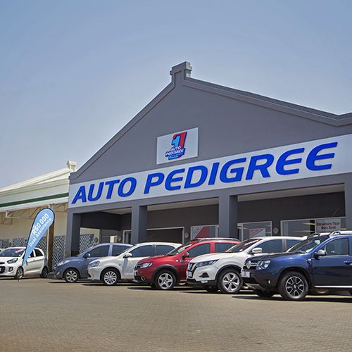 Auto Pedigree Modimolle