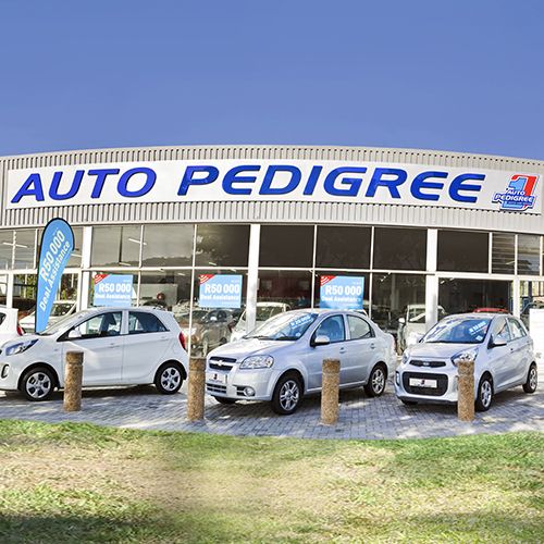 Auto Pedigree Parow