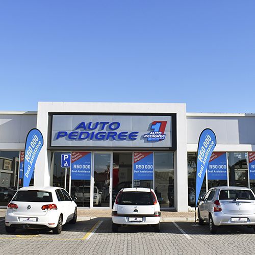 Auto Pedigree Port Elizabeth