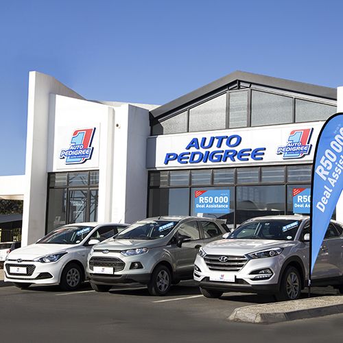 Auto Pedigree Southgate