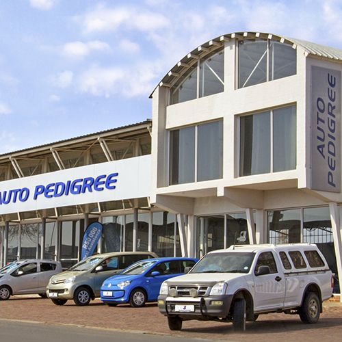 Auto Pedigree Welkom